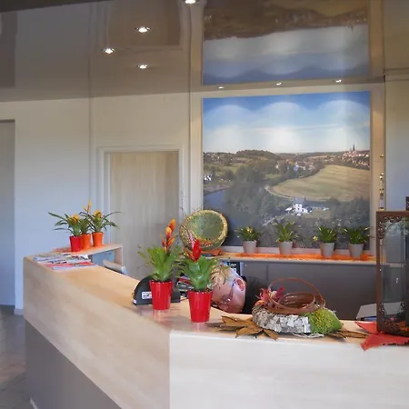 Le Relais De La Haute Sambre Отель 3*